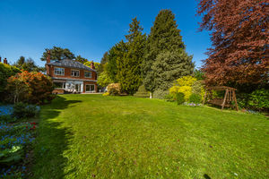 REAR GARDEN- click for photo gallery